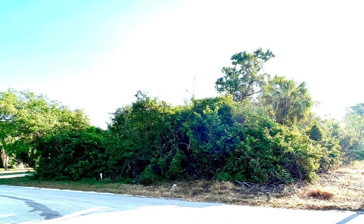 2336 13th Avenue SW, Vero Beach, FL 32962 photo 5