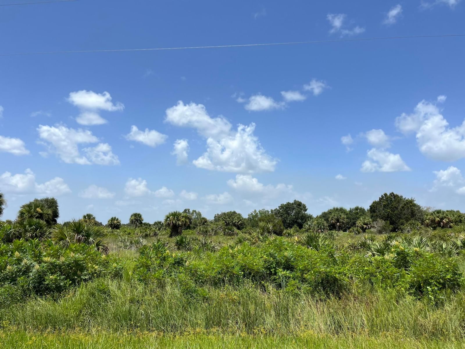 18325 NW 278th Street, Okeechobee, FL 34972 photo 2