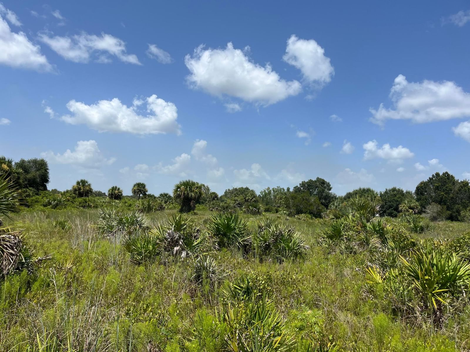 18325 NW 278th Street, Okeechobee, FL 34972 photo 5