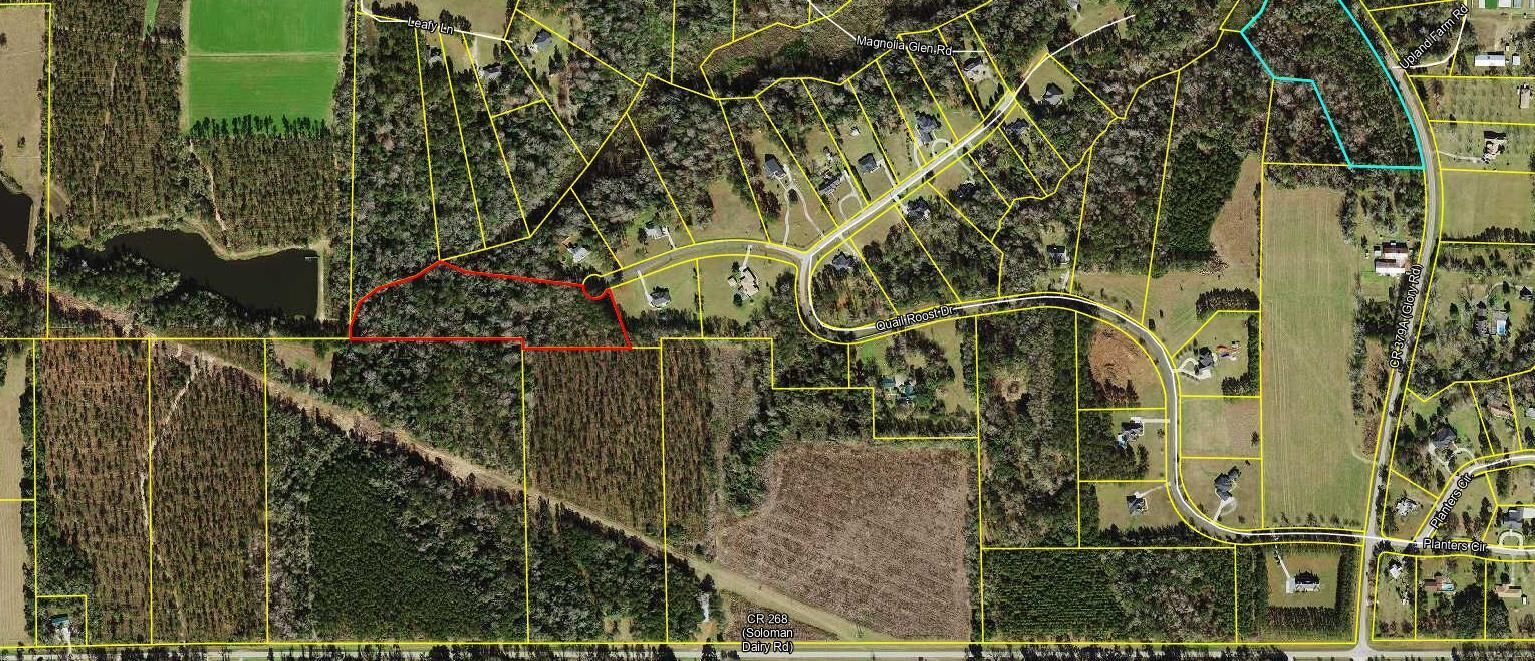 Tbd W Quail Roost Drive, Quincy, FL 32352 photo 2