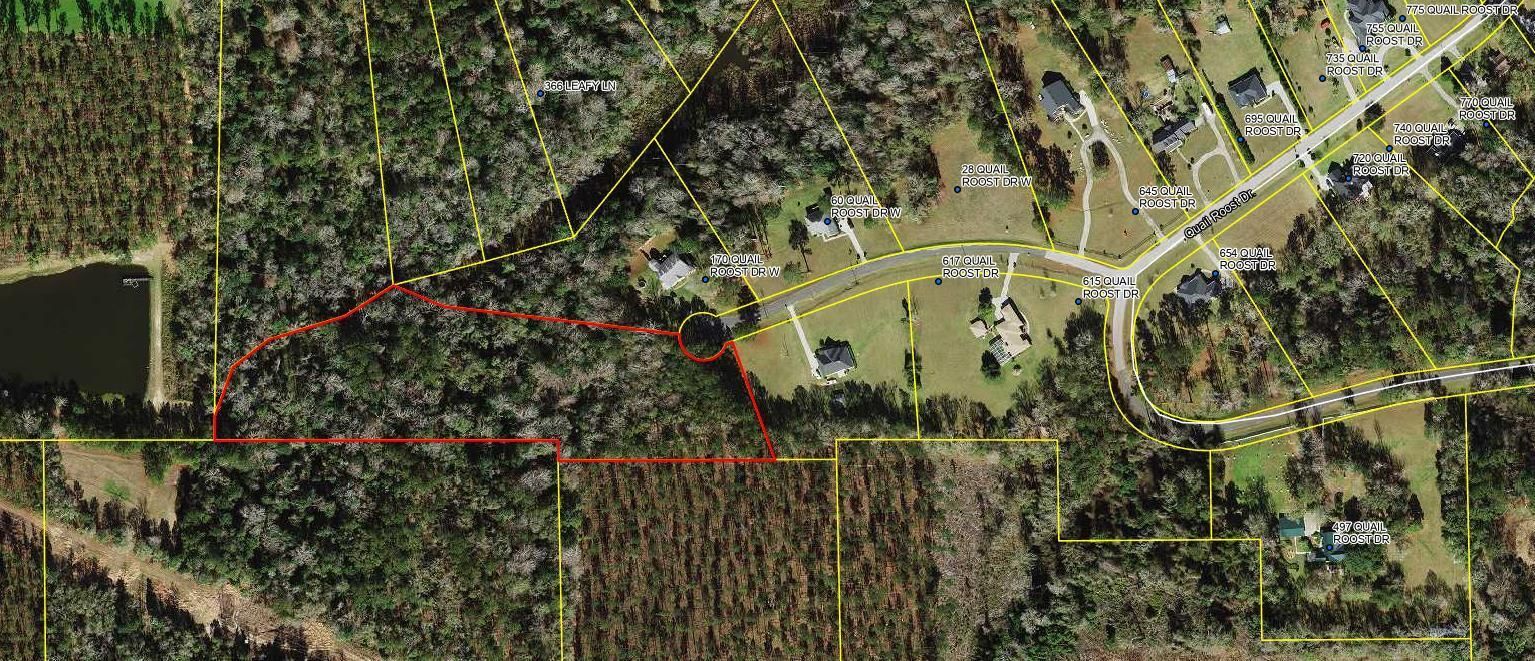 Tbd W Quail Roost Drive, Quincy, FL 32352 photo 3