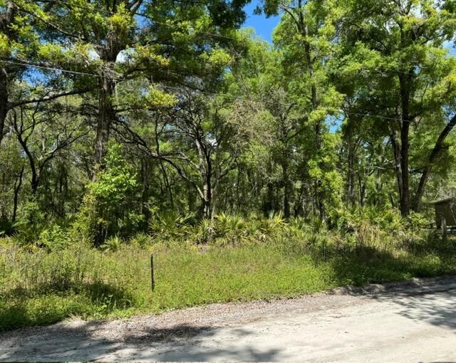 Tbd NE 472nd Avenue, Old Town, FL 32680