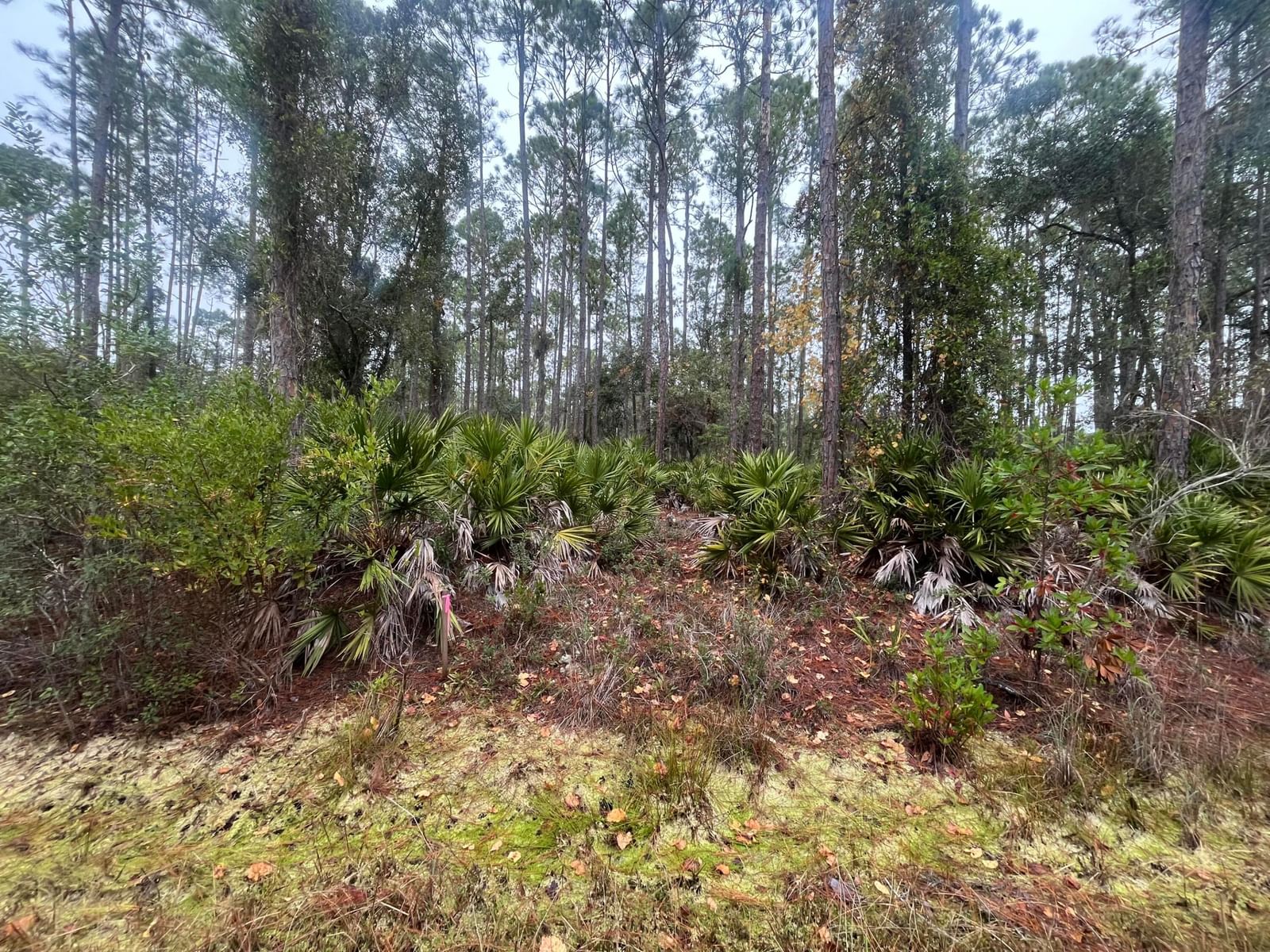 222 Marie Avenue, Georgetown, FL 32139
