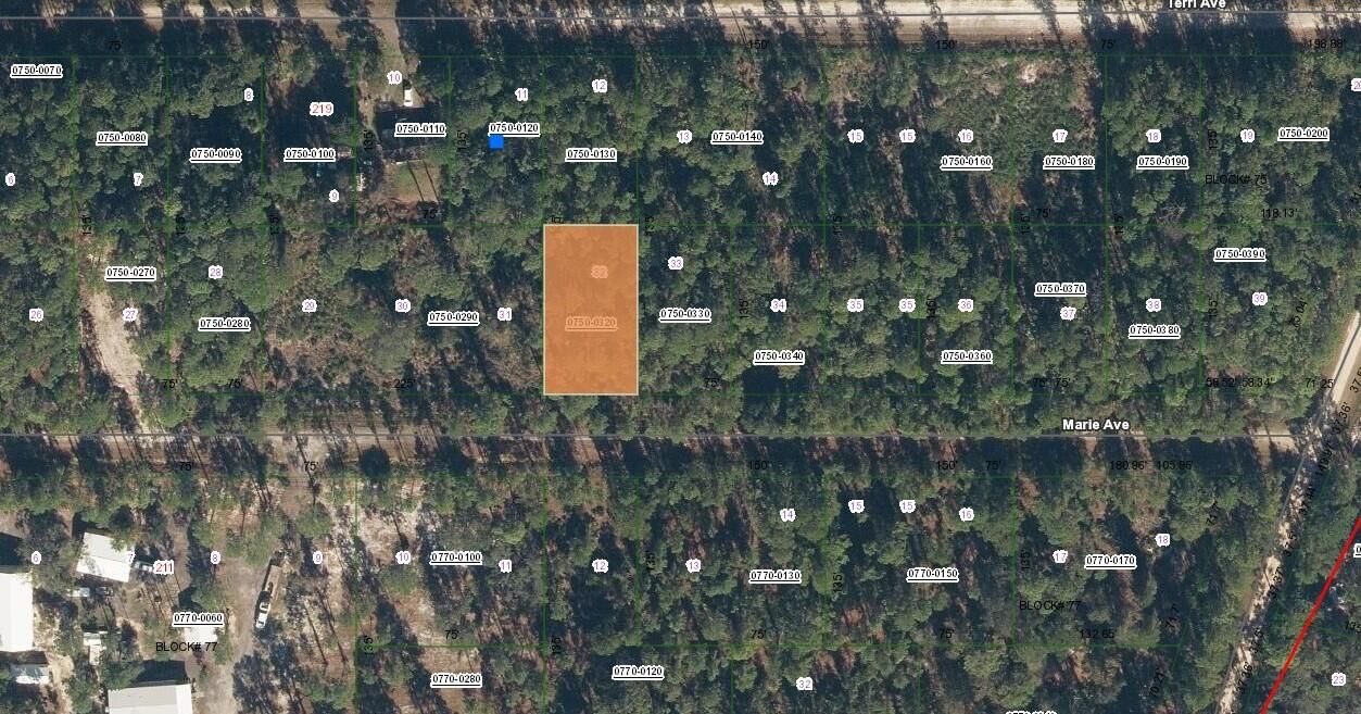 222 Marie Avenue, Georgetown, FL 32139 photo 3