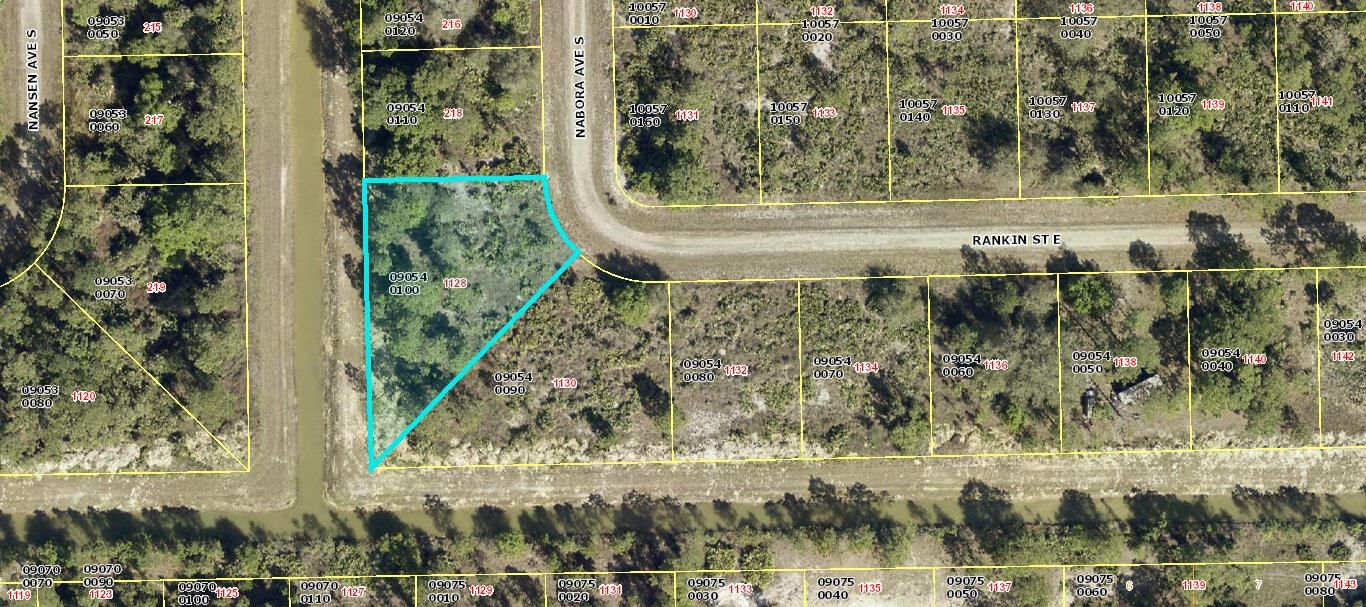 1128 Rankin St, Lehigh Acres, FL 33974 photo 3