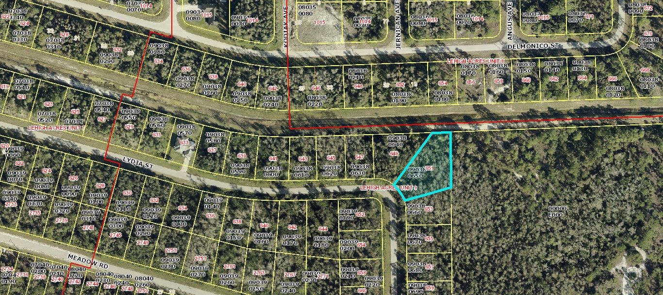651 Lydia Street, Lehigh Acres, FL 33974 photo 2