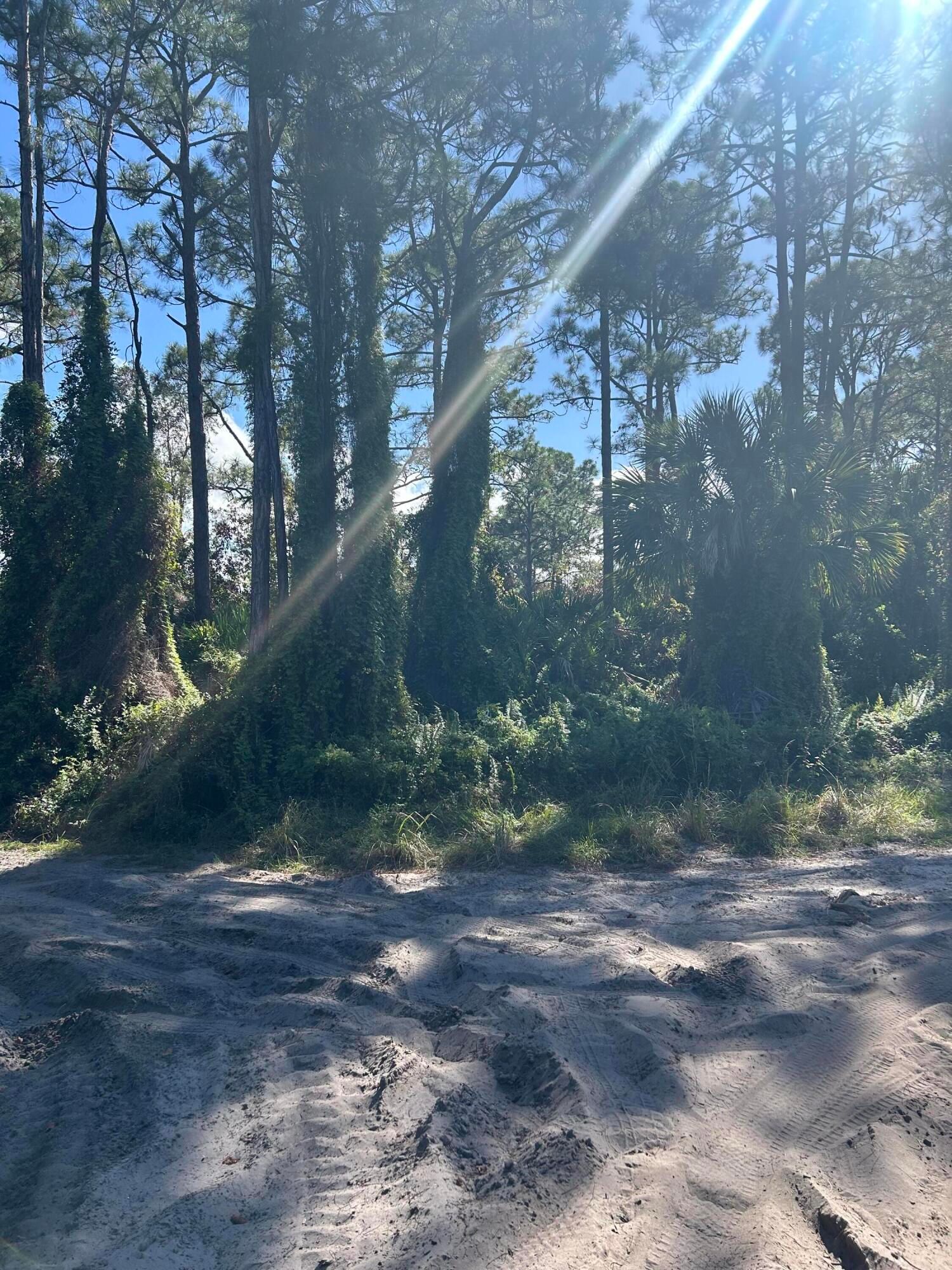 0 Slash Pine Trail, Fort Pierce, FL 34945 photo 3