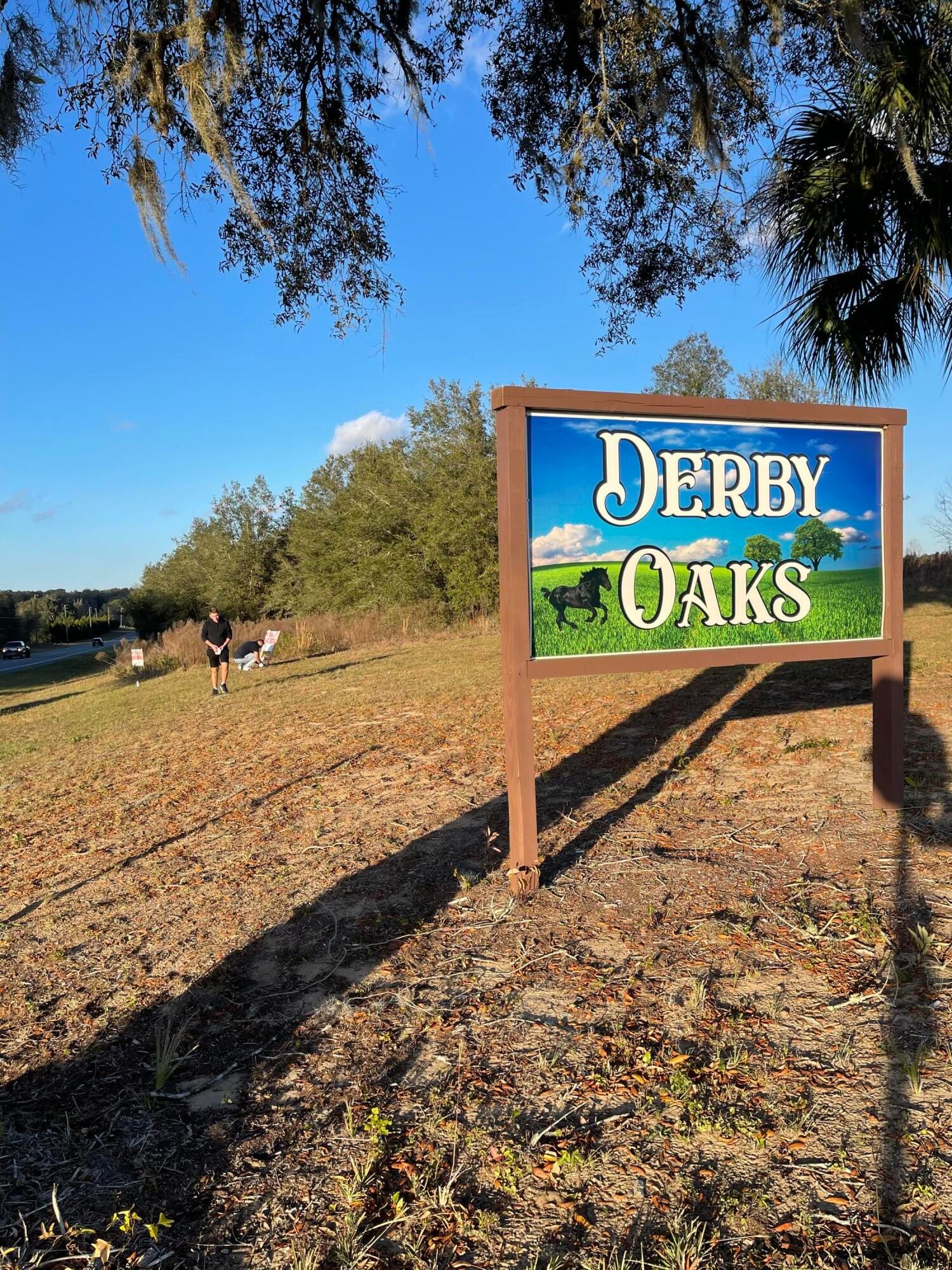 7451 E Derby Oaks Drive, Floral City, FL 34436 photo 3