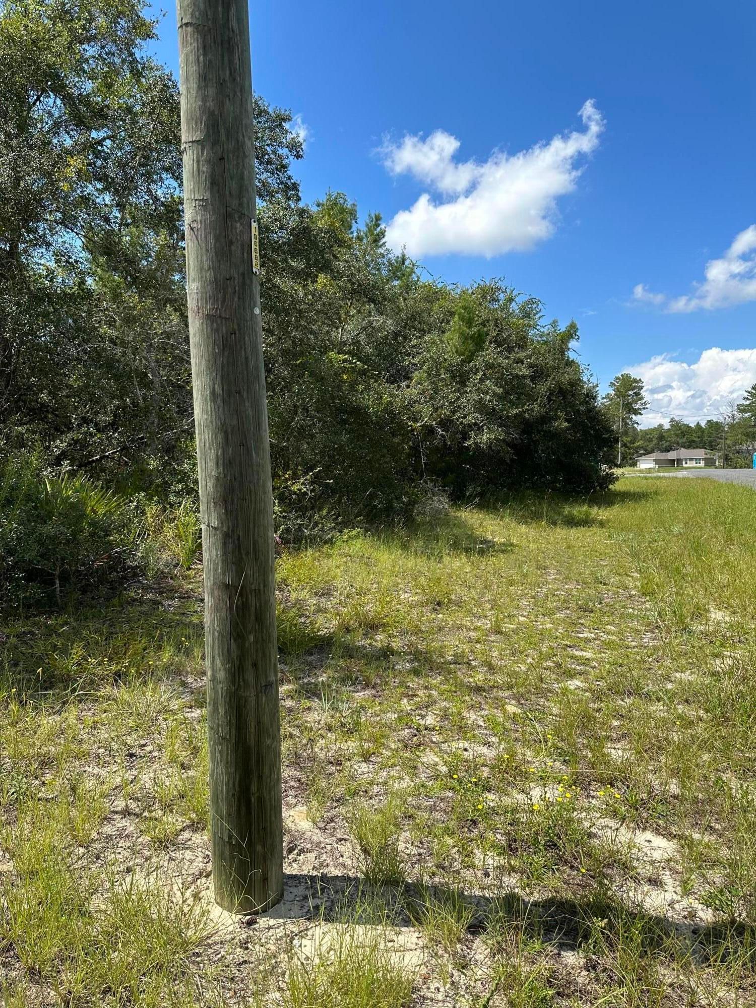 0000 SW 168th Loop, Ocala, FL 34473 photo 3