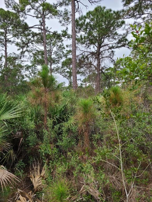 5375 69th Street, Vero Beach, FL 32967 photo 2