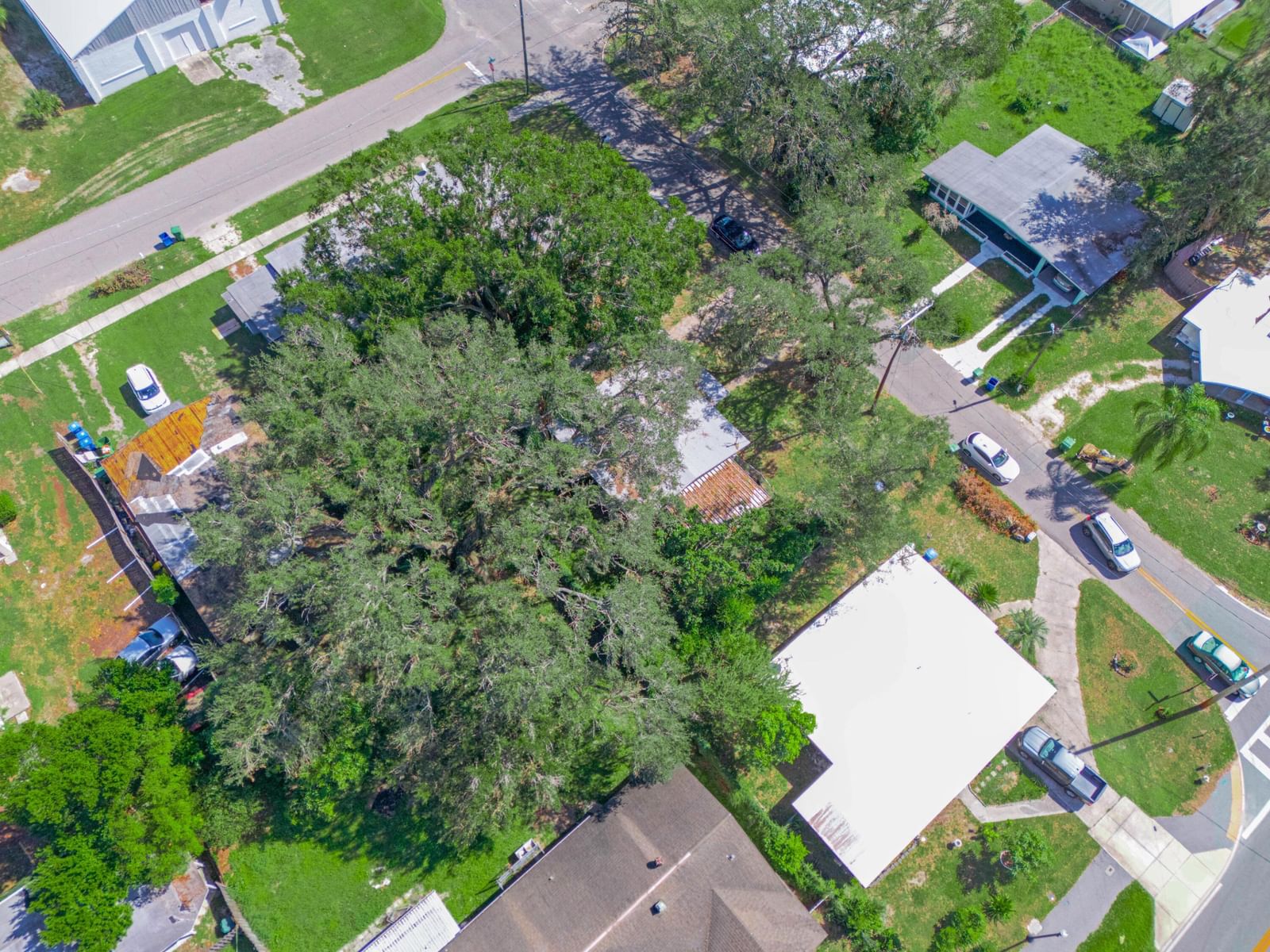 657 Ave C SW, Winter Haven, FL 33880 photo 4
