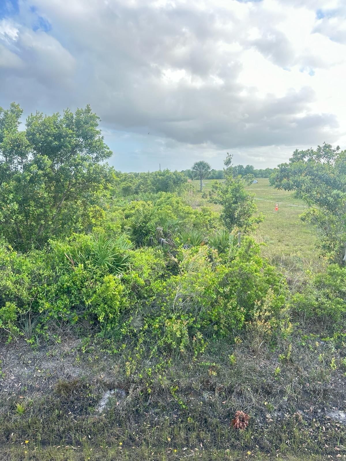 16220 NW 264th Street, Okeechobee, FL 34972 photo 2