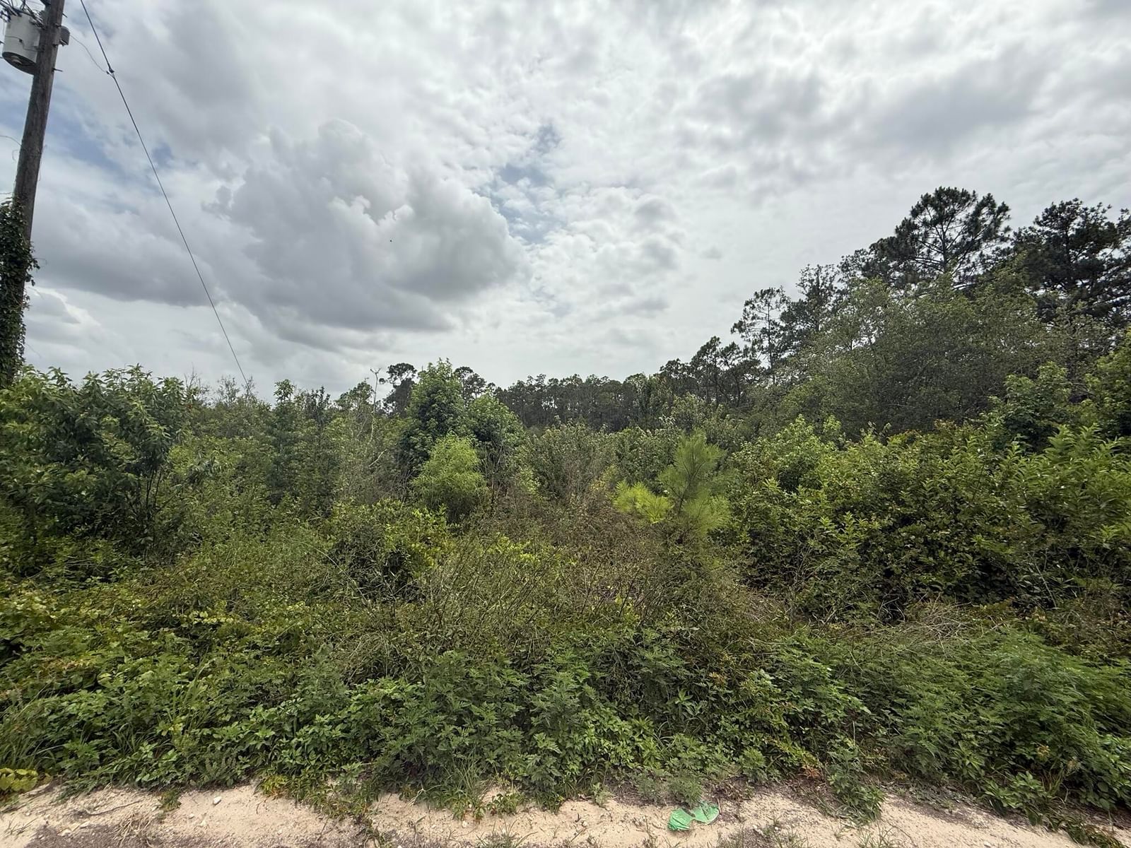 129 Fishermans Drive, Interlachen, FL 32148 photo 4