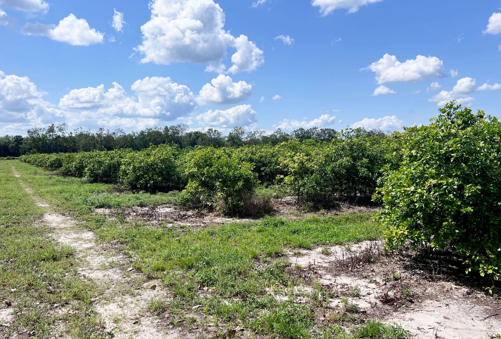 Tbd Orange Avenue Extension, Fort Pierce, FL 34945 photo 3