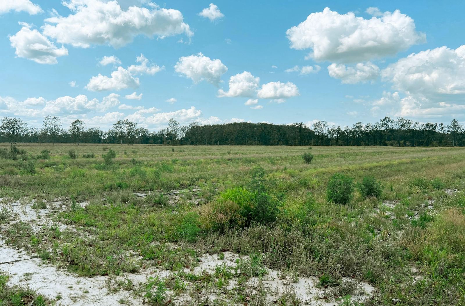 Tbd Orange Avenue Extension, Fort Pierce, FL 34945 photo 4