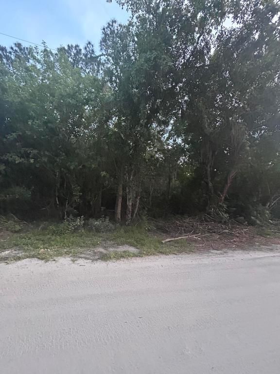 8995 22nd Street, Vero Beach, FL 32966 photo 4