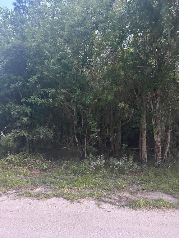 8995 22nd Street, Vero Beach, FL 32966 photo 5