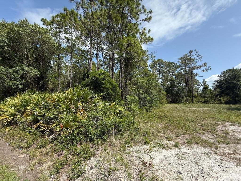 174 Millican Road, Palatka, FL 32177 photo 2