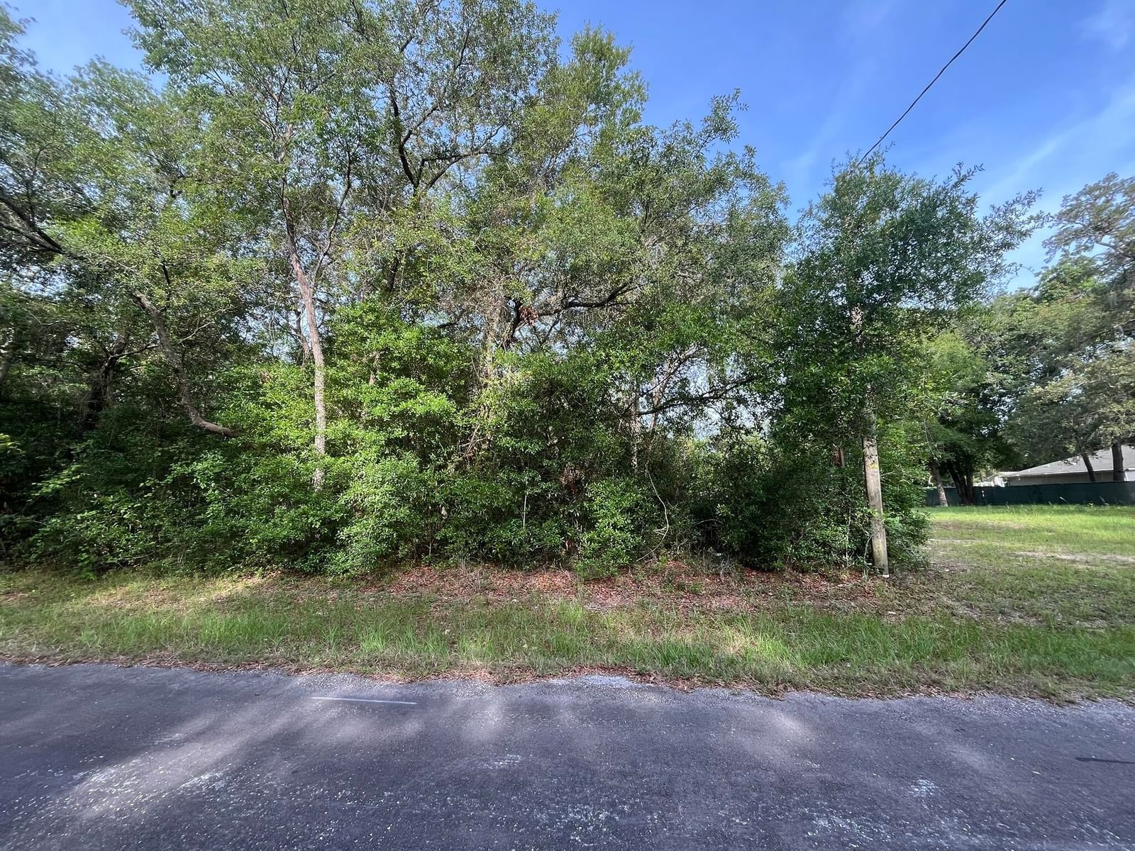 6634 N Pagoda Tree Terrace, Hernando, FL 34442 photo 3