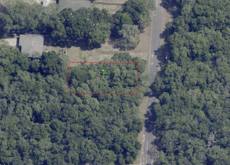6634 N Pagoda Tree Terrace, Hernando, FL 34442 photo 2