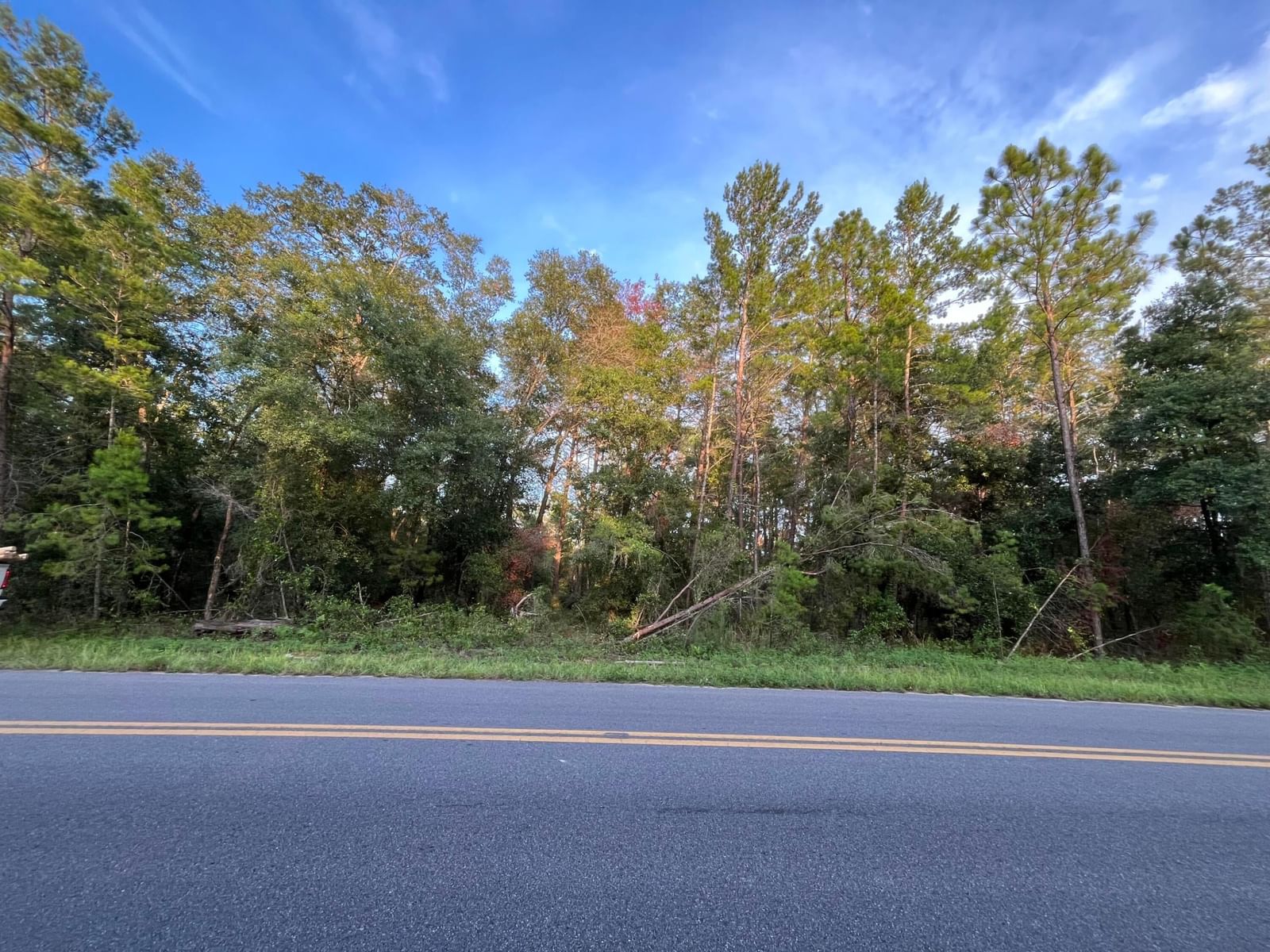Tbd Twin Lakes Road, Interlachen, FL 32148 photo 2