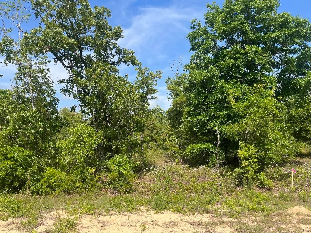 Tbd Rome Avenue, Alford, FL 32420