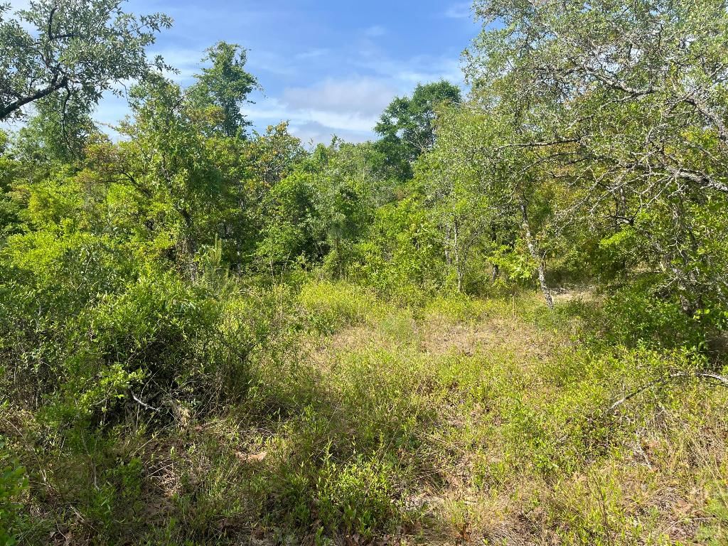 Tbd Rome Avenue, Alford, FL 32420 photo 4