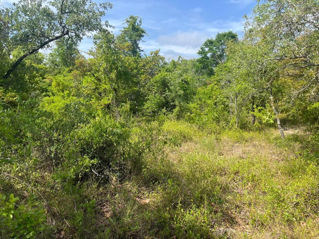 Tbd Rome Avenue, Alford, FL 32420 photo 5