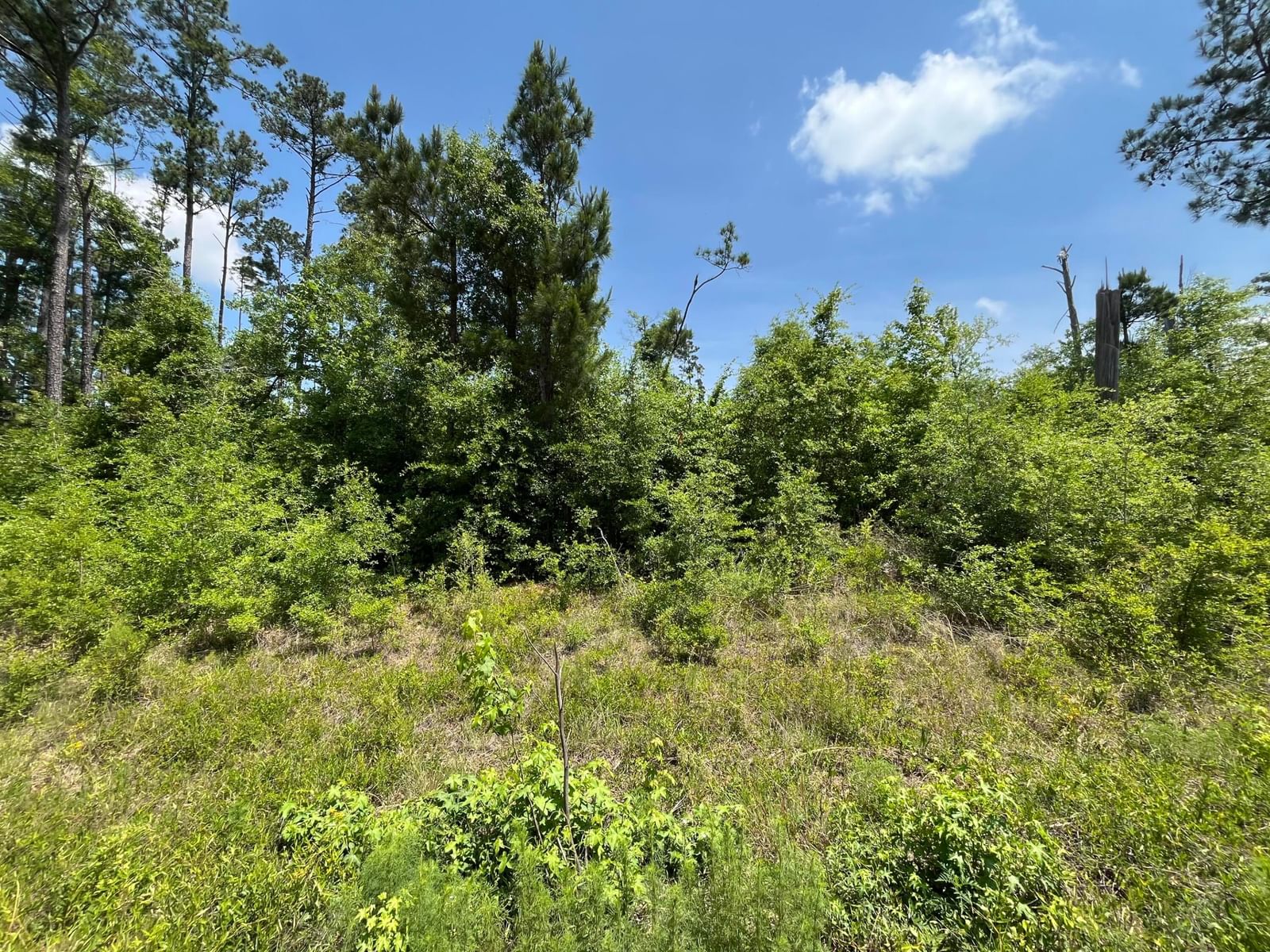 Tbd Grand Quiviera Circle, Alford, FL 32420