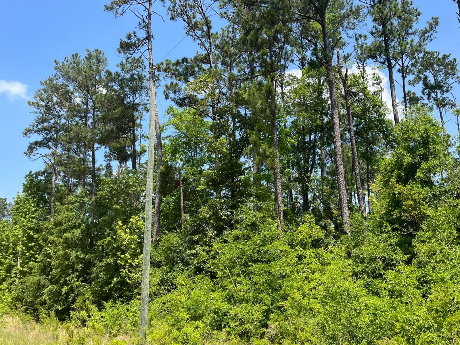 Tbd Grand Quiviera Circle, Alford, FL 32420 photo 3