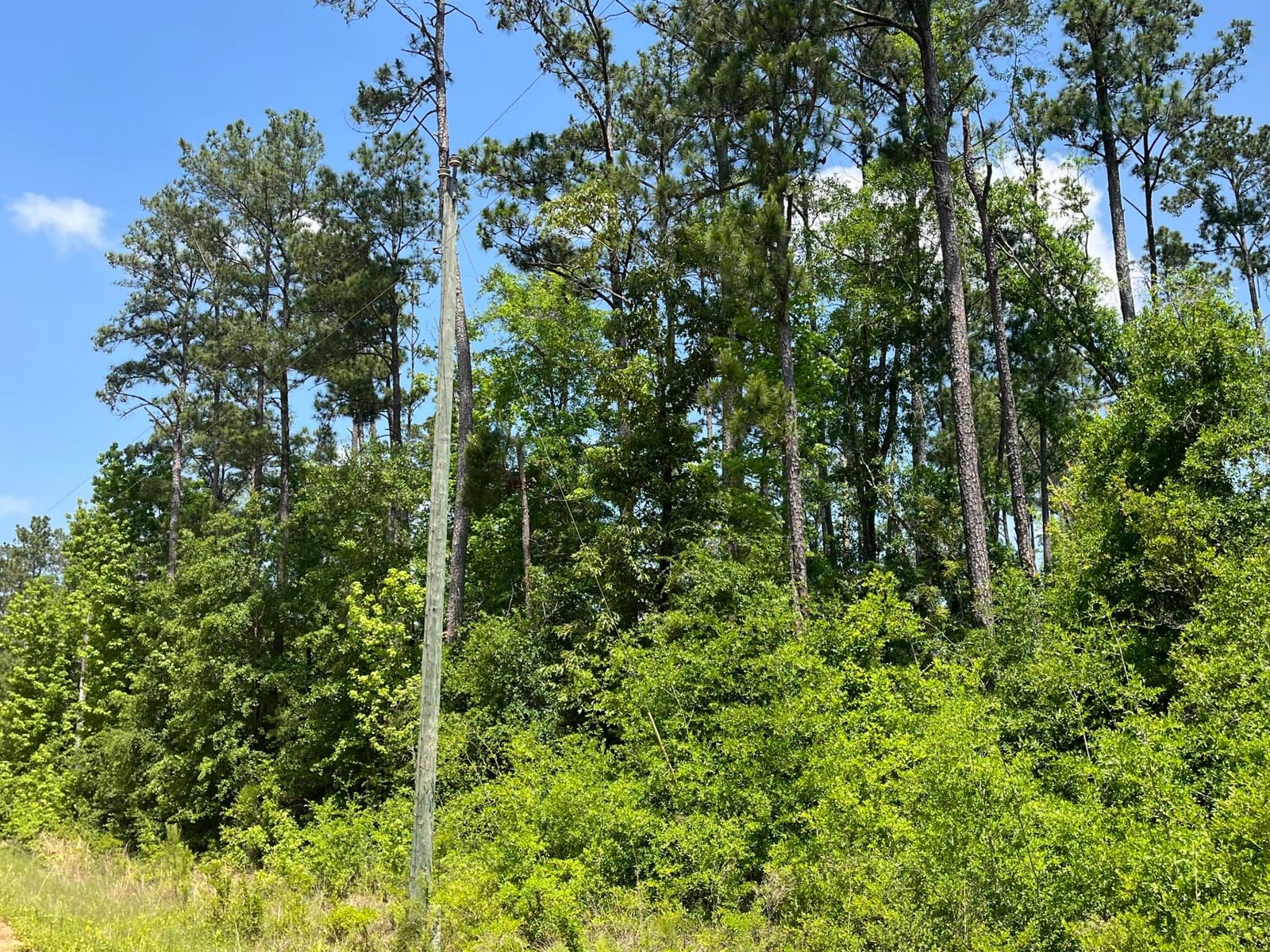 Tbd Grand Quiviera Circle, Alford, FL 32420 photo 4