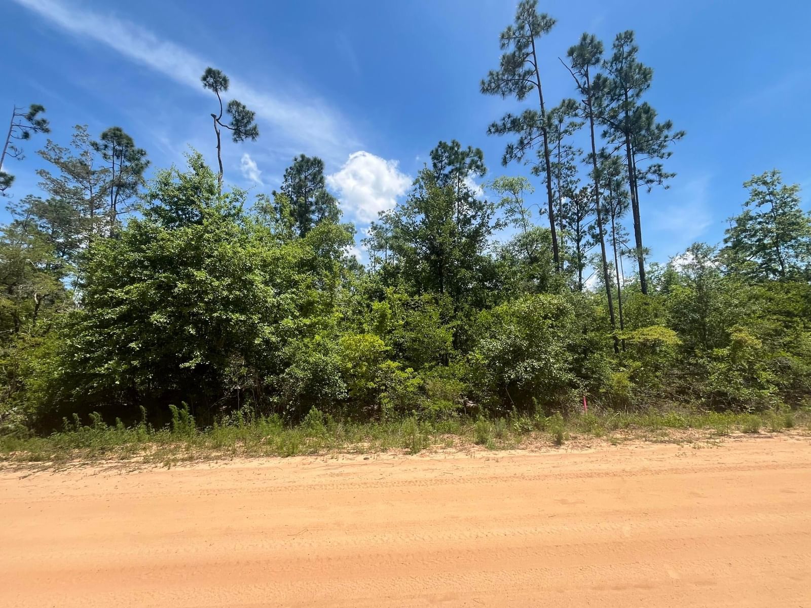Tbd Tamarac Road, Marianna, FL 32448 photo 3