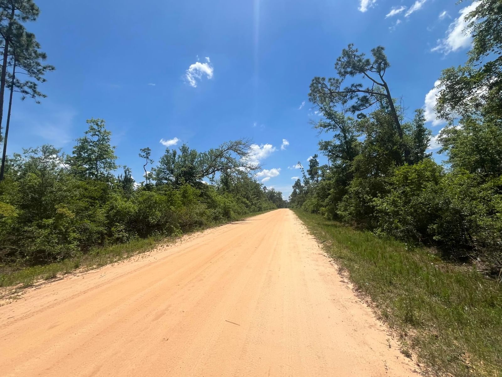 Tbd Tamarac Road, Marianna, FL 32448 photo 4