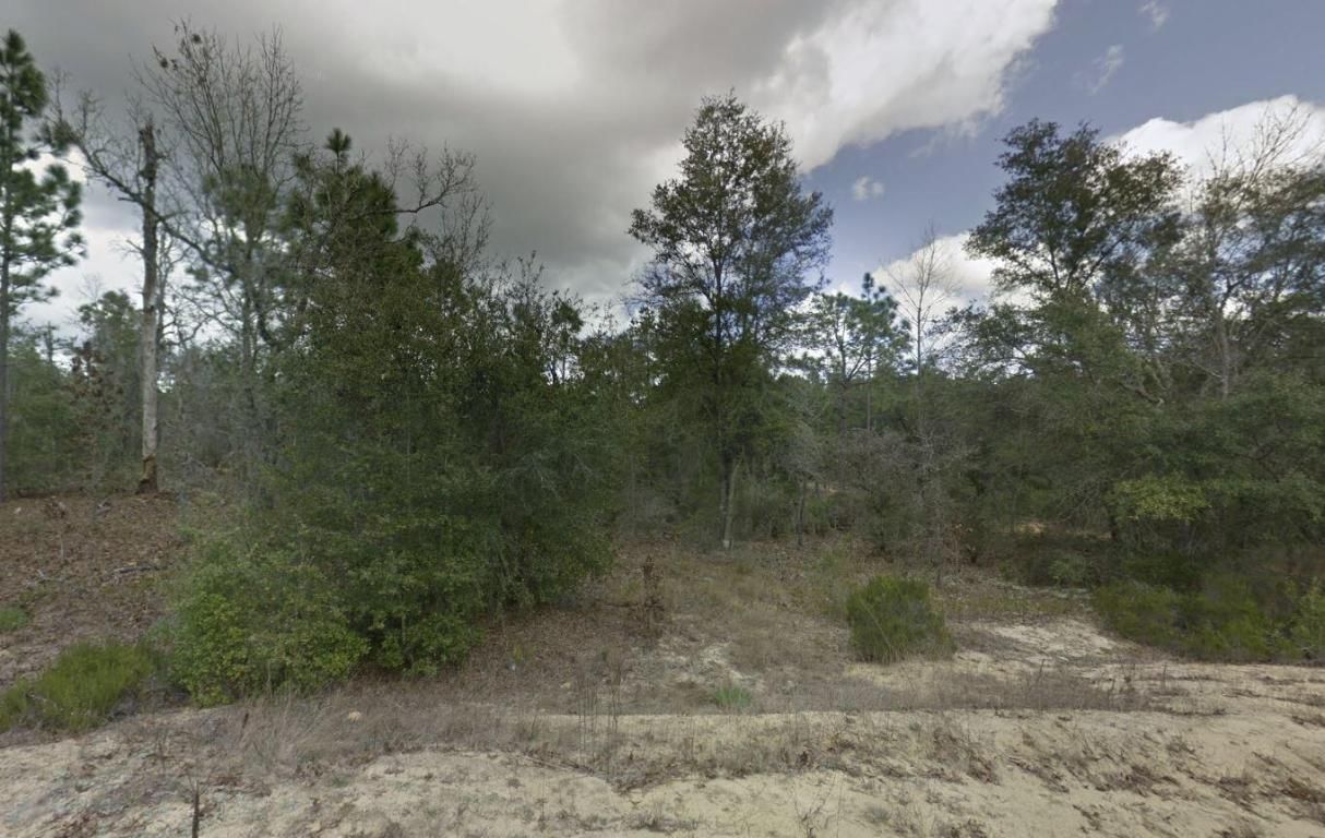 187 Paris Street, Interlachen, FL 32148 photo 2