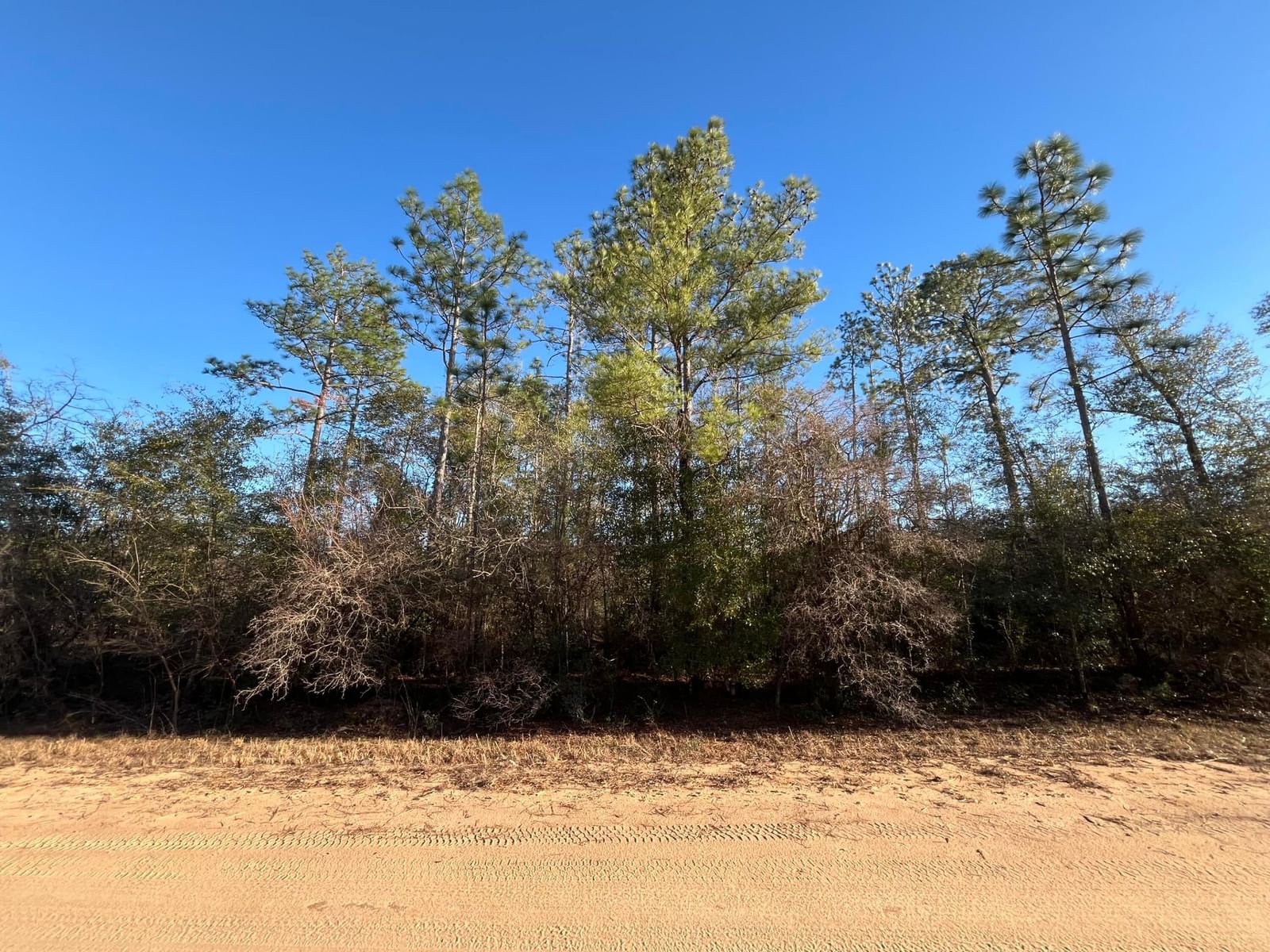 Tbd Goreville, Alford, FL 32420 photo 2