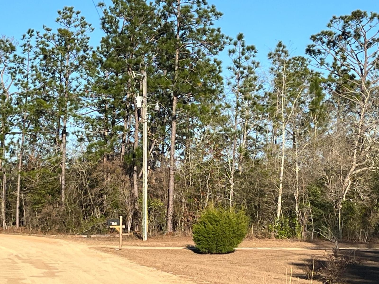 Tbd Goreville, Alford, FL 32420 photo 3