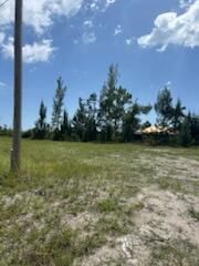 824 NE 23rd Terrace, Cape Coral, FL 33909 photo 4