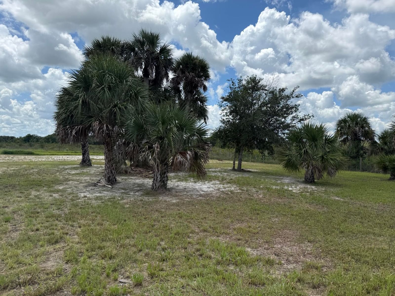 19374 NW 302nd Street, Okeechobee, FL 34972 photo 2
