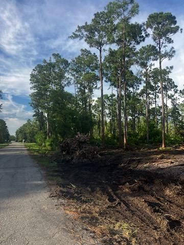 2018 Canton Avenue, Alva, FL 33920 photo 5
