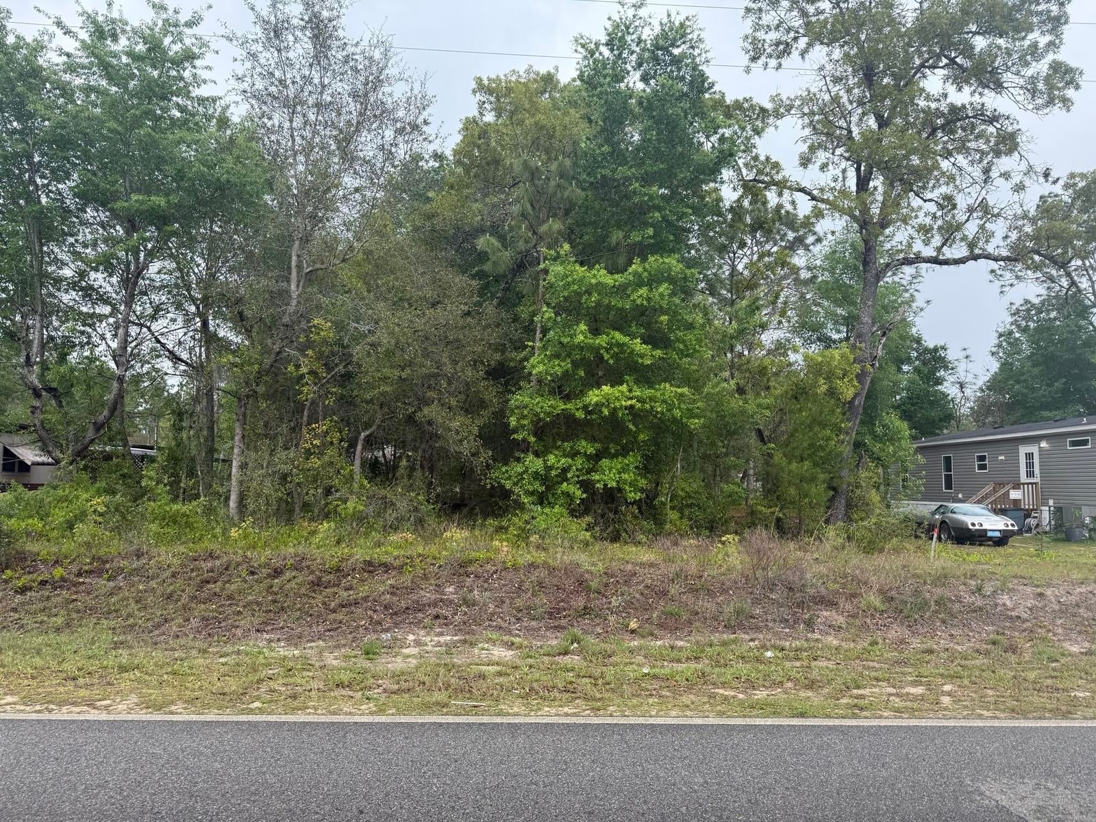 Tbd Dawn Avenue, Interlachen, FL 32148 photo 2