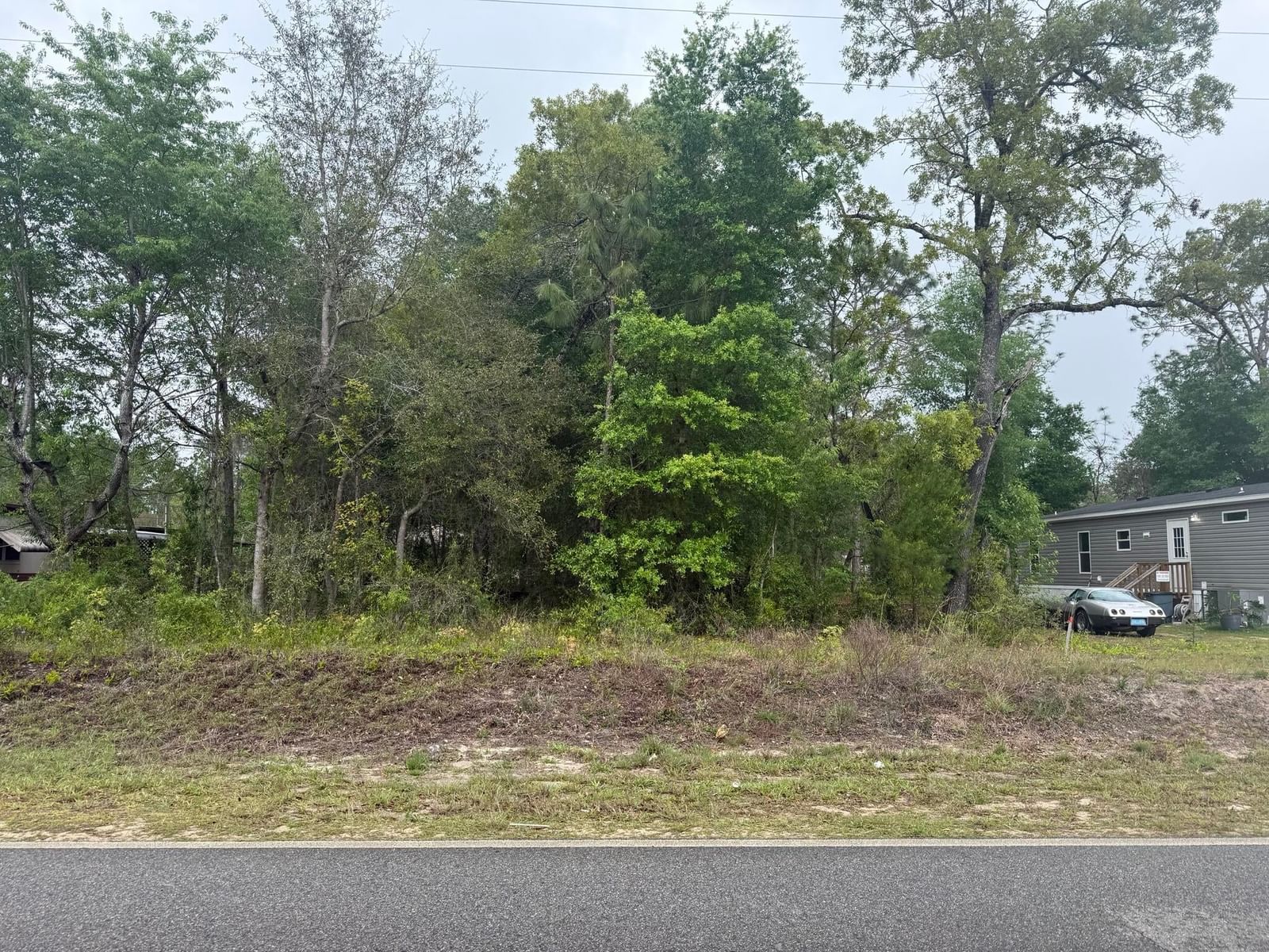 Tbd Dawn Avenue, Interlachen, FL 32148 photo 5