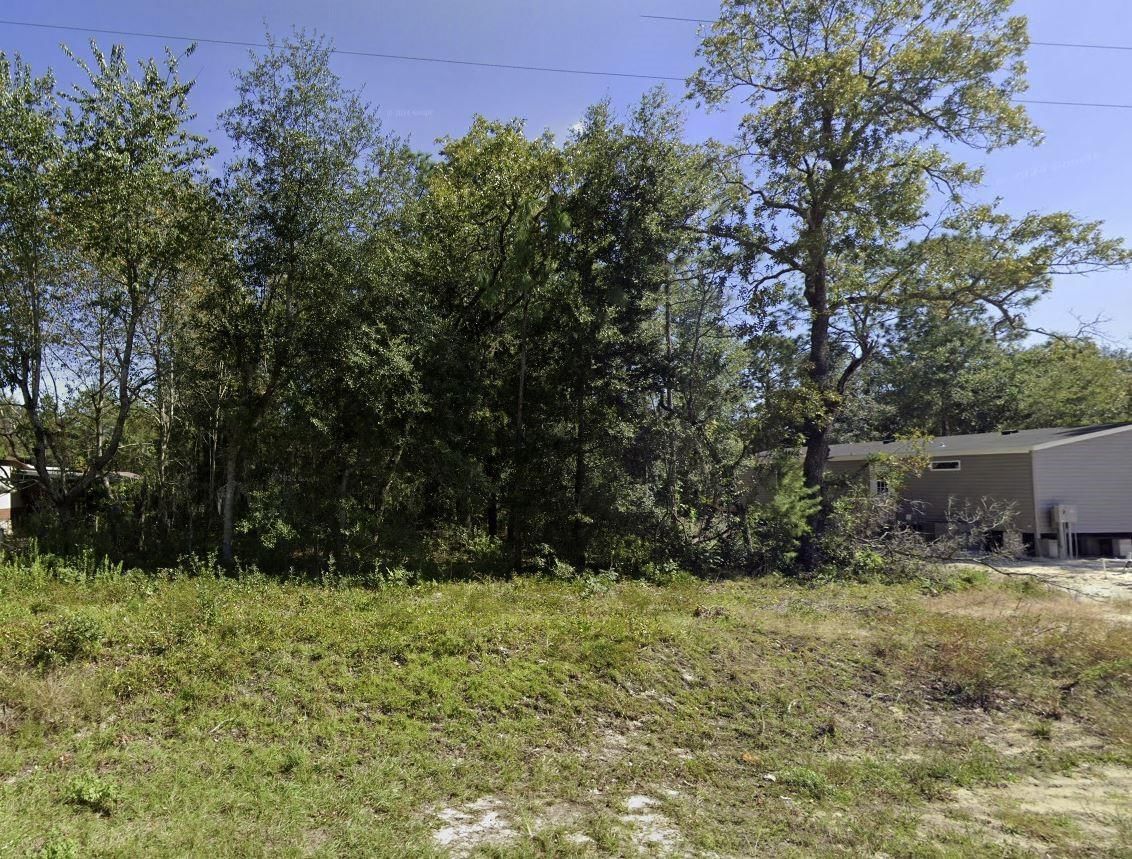 Tbd Dawn Avenue, Interlachen, FL 32148 photo 3