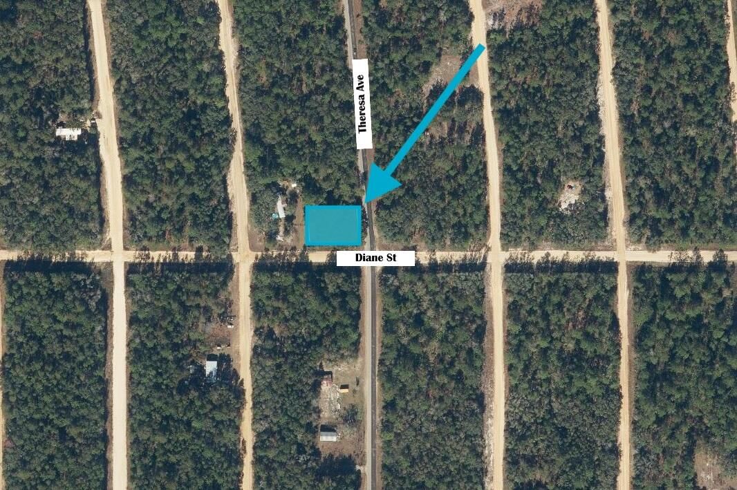 Tbd Theresa Avenue, Interlachen, FL 32148