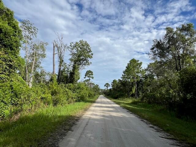 1131 Greenfield Street, Lake Placid, FL 33852 photo 4