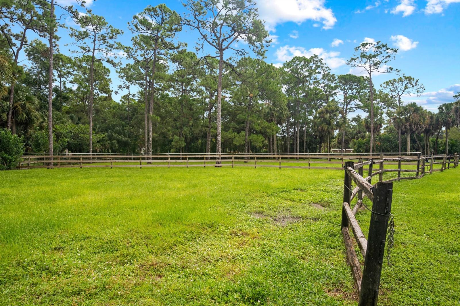 2915 Doe Trail, The Acreage, FL 33470 photo 5