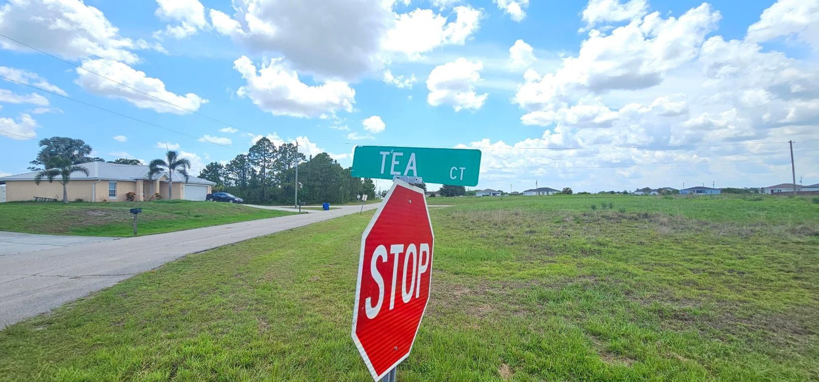9009 Tea Court, Labelle, FL 33935 photo 3