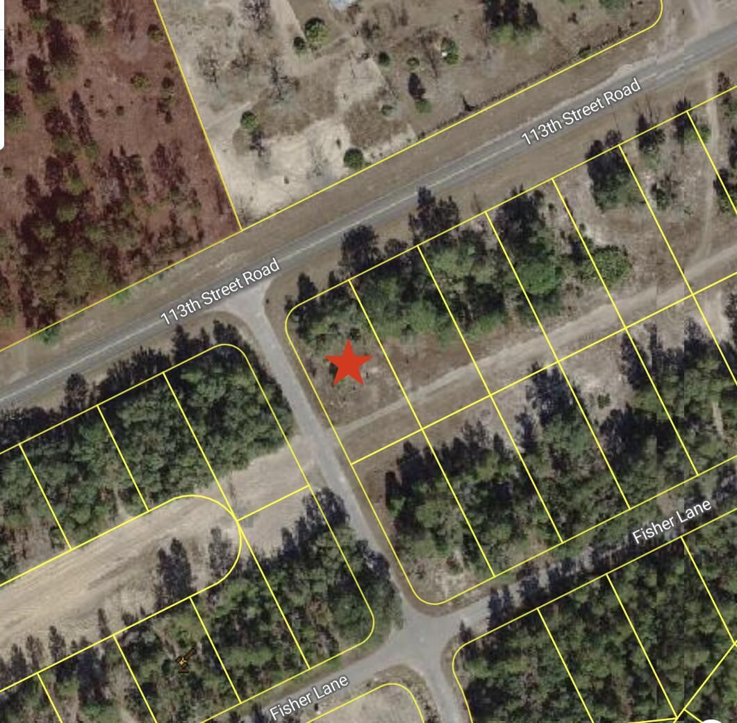 0 Tbd 113th Street Lot 1 Road, Ocklawaha, FL 32179