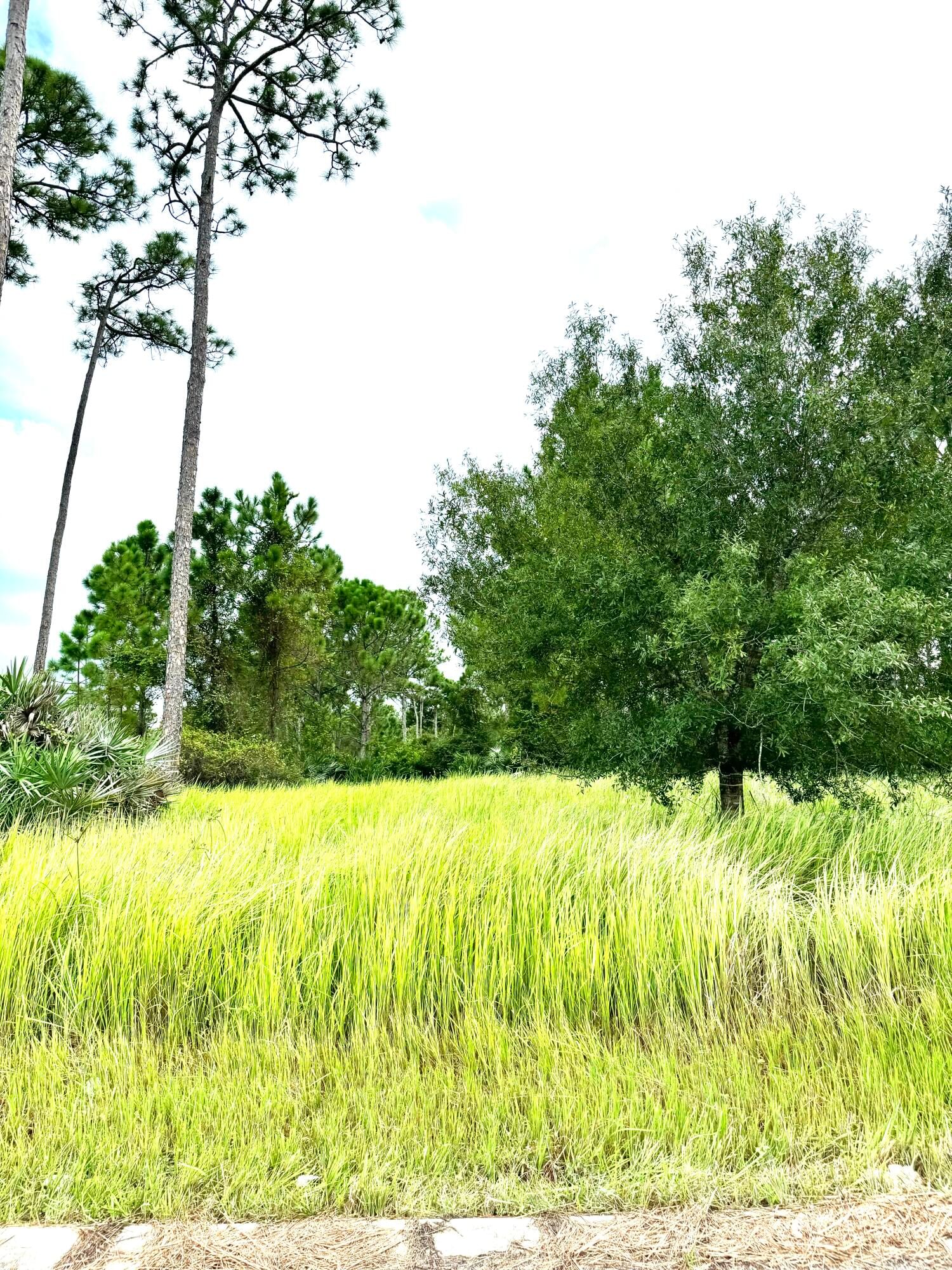 10615 Sugar Pine Drive, Fort Pierce, FL 34945 photo 2