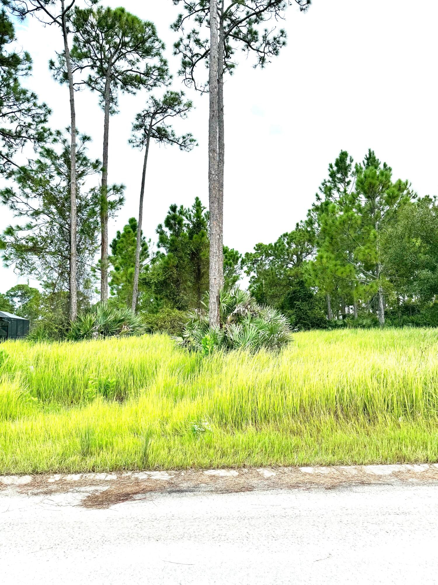 10615 Sugar Pine Drive, Fort Pierce, FL 34945 photo 4