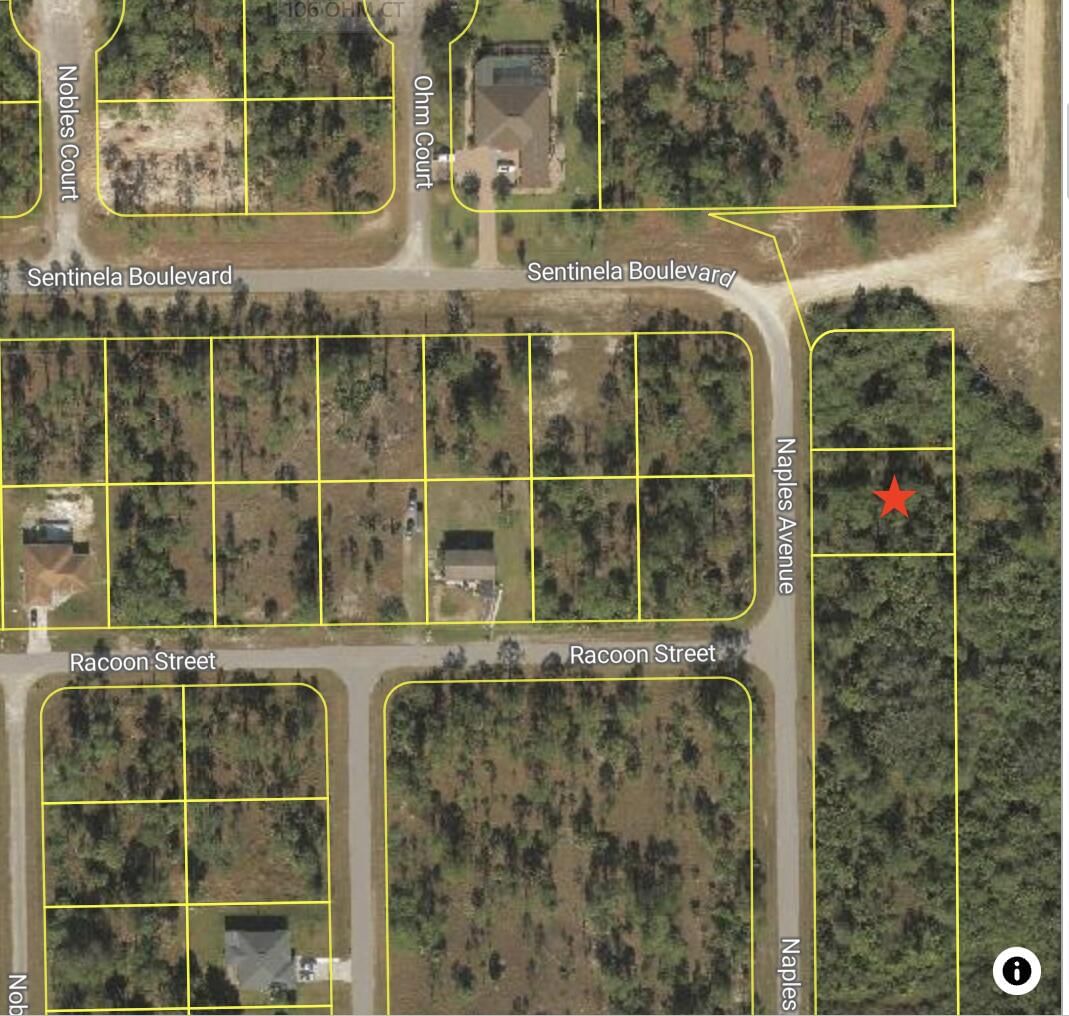 121 Naples Avenue S, Lehigh Acres, FL 33974 photo 2